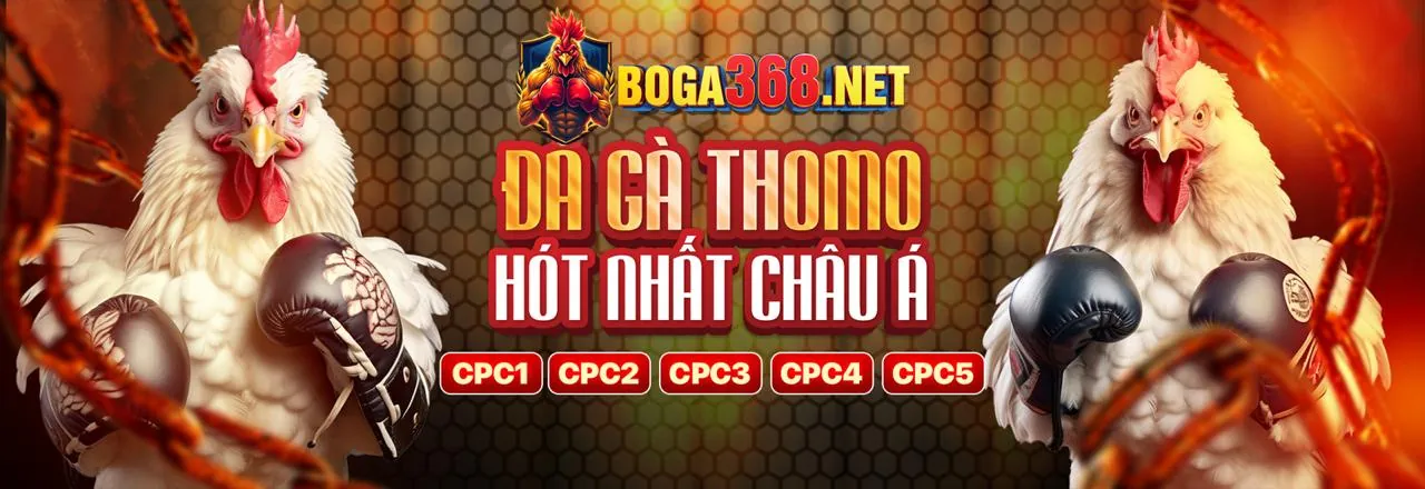 Hướng dẫn cá cược eSports