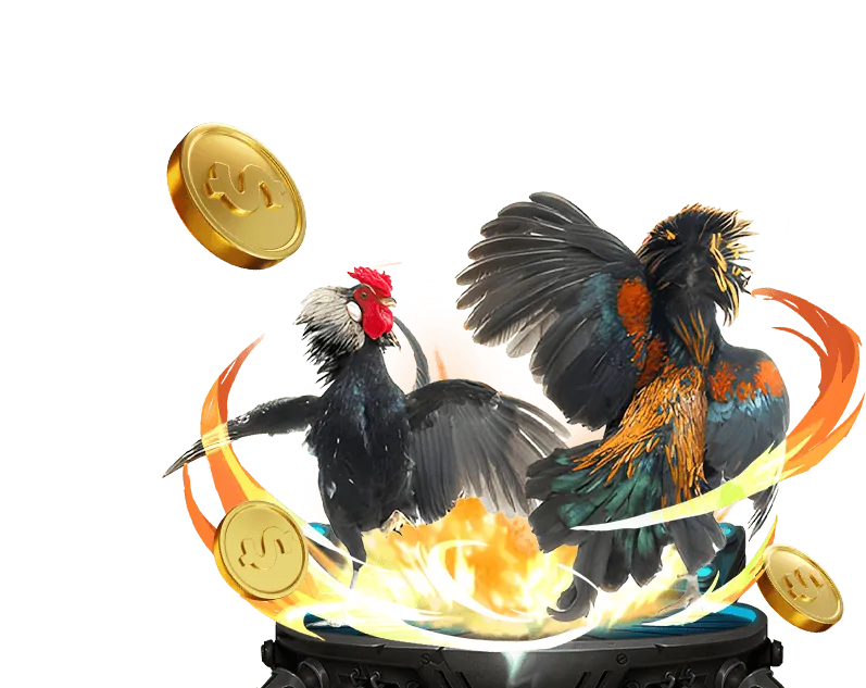 Chương trình VIP Nohu88 App